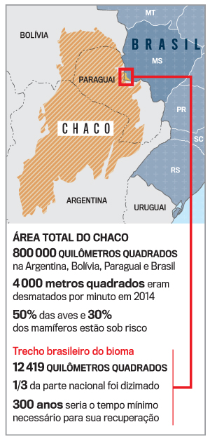 A floresta esquecida VEJA