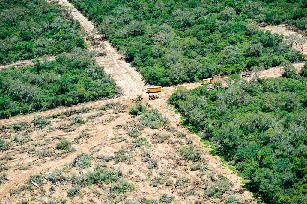 CHACO—DESMATAMENTO—MATO-GROSSO-SUL-4.jpg CHACO—DESMATAMENTO—MATO-GROSSO-SUL-4.jpg