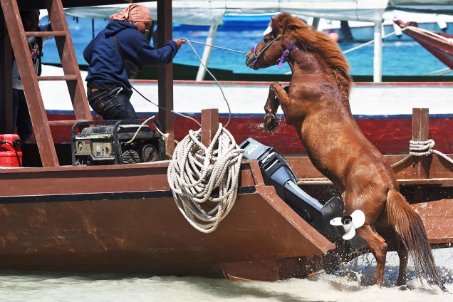 Homem guia cavalo para ser transportado em barco, após forte terremoto atingir a ilha de Lombok, na Indonésia - 09/08/2018