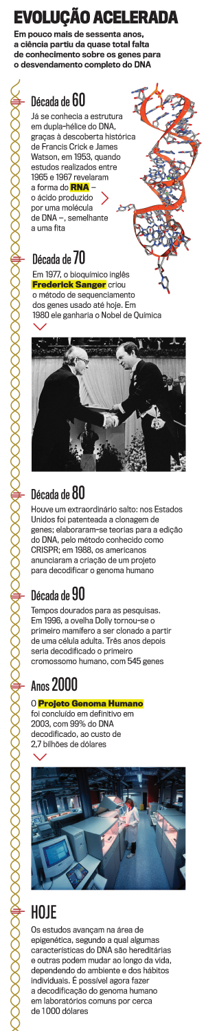 arte-DNA-evolucao-acelerada arte-DNA-evolucao-acelerada