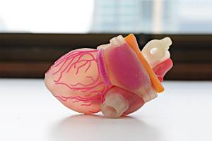 Coração sintético em 3D