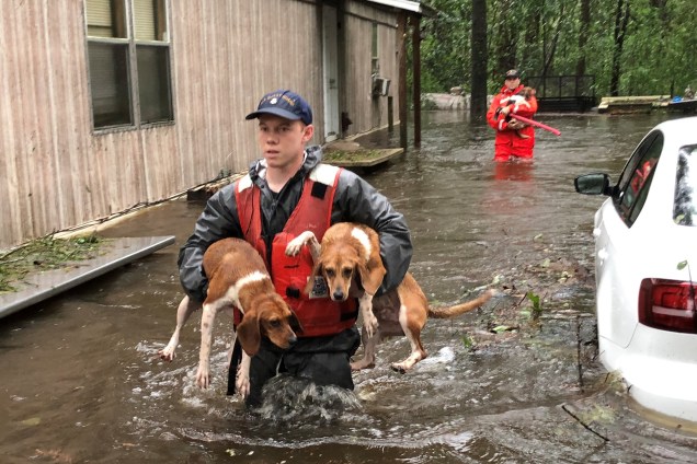 Membros Guarda Costeira resgatam animais de estimação encalhados pela água da enchente causada pelo furacão Florence perto de Riegelwood, Carolina Norte - 16/09/2018