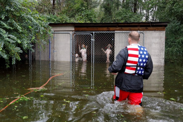 Cães em pânico abandonados em um canil por seu dono que fugiu das enchentes provocadas pela passagem do furacão Florence, são resgatados pelo voluntário Ryan Nichols em Leland, na Carolina do Norte - 16/09/2018