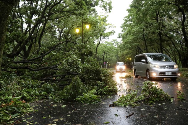Veículos passam por árvores derrubadas devido aos fortes ventos do tufão Jebi em Nagoya, no Japão - 04/09/2018