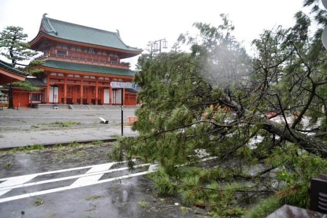 Árvore derrubada pela passagem do tufão Jebi é vista em frente do santuário de Heian em Kyoto, no Japão - 04/09/2018
