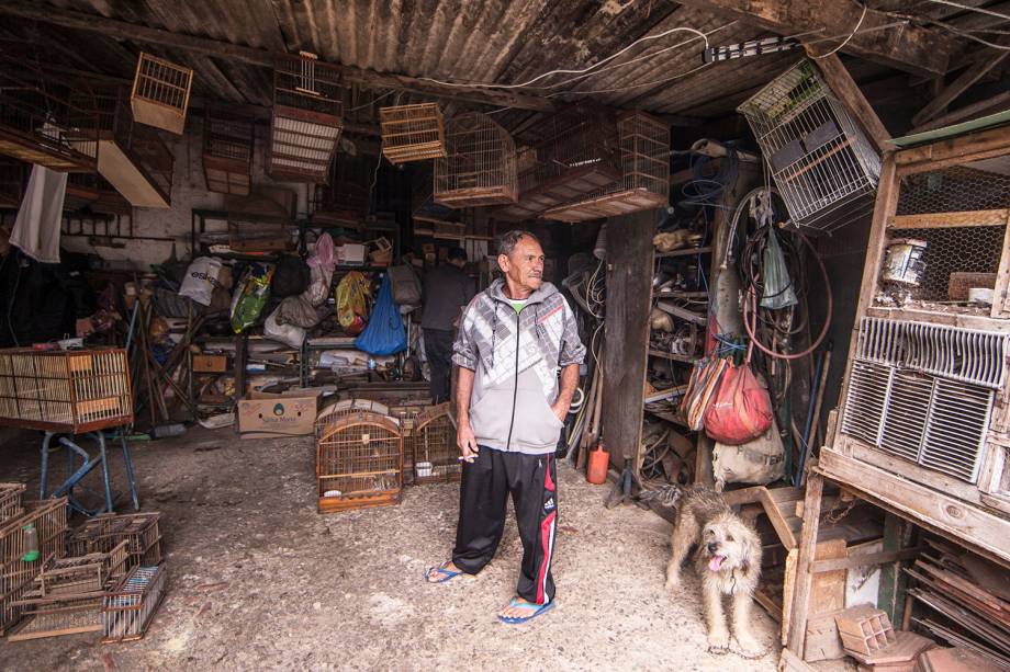 José Gonçalves Braga, aposentado, mantinha 28 pássaros e afirmou que constrói e vende gaiolas, mas negou comercializar as aves José Gonçalves Braga, aposentado, mantinha 28 pássaros e afirmou que constrói e vende gaiolas, mas negou comercializar as aves