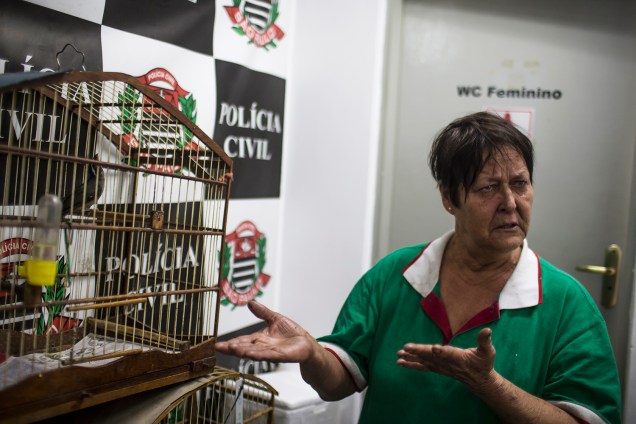 Maria Tereza da Silva, de 65 anos, implorava para que ela pudesse ficar com os seus cinco papagaios