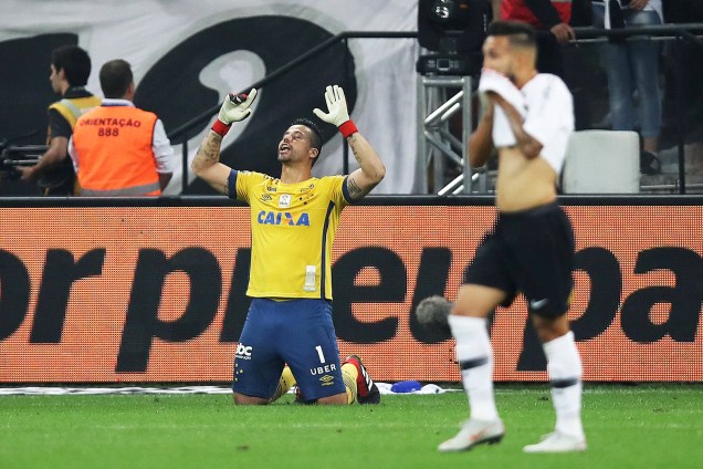 O goleiro Fábio, do Cruzeiro, comemora após conquistar o título da Copa do Brasil sobre o Corinthians - 17/10/2018