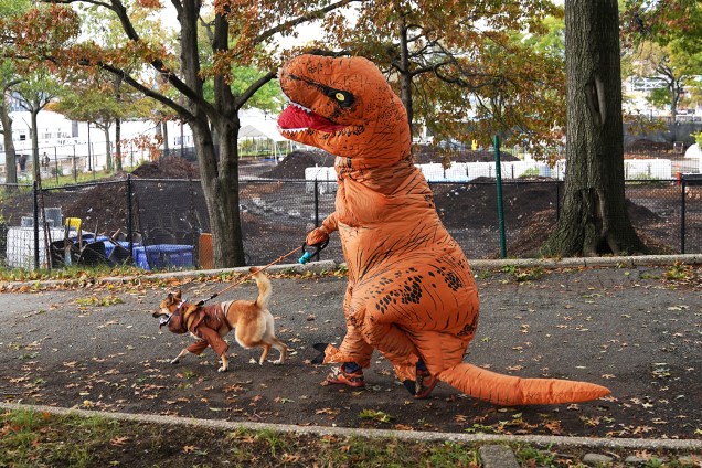 Cão e seu dono participam de desfile em comemoração ao Halloween, no East River Park, localizado em Nova York - 27/10/2018  