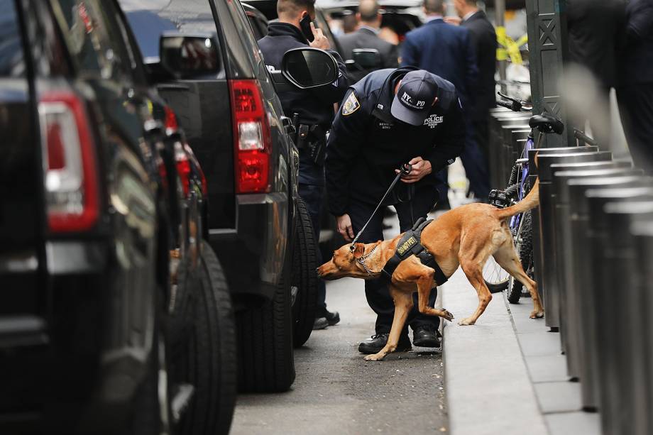 Cão farejador busca possíveis artefatos explosivos, nos arredores do Time Warner Center, em Nova York, após pacote suspeito ser enviado ao local - 24/10/2018