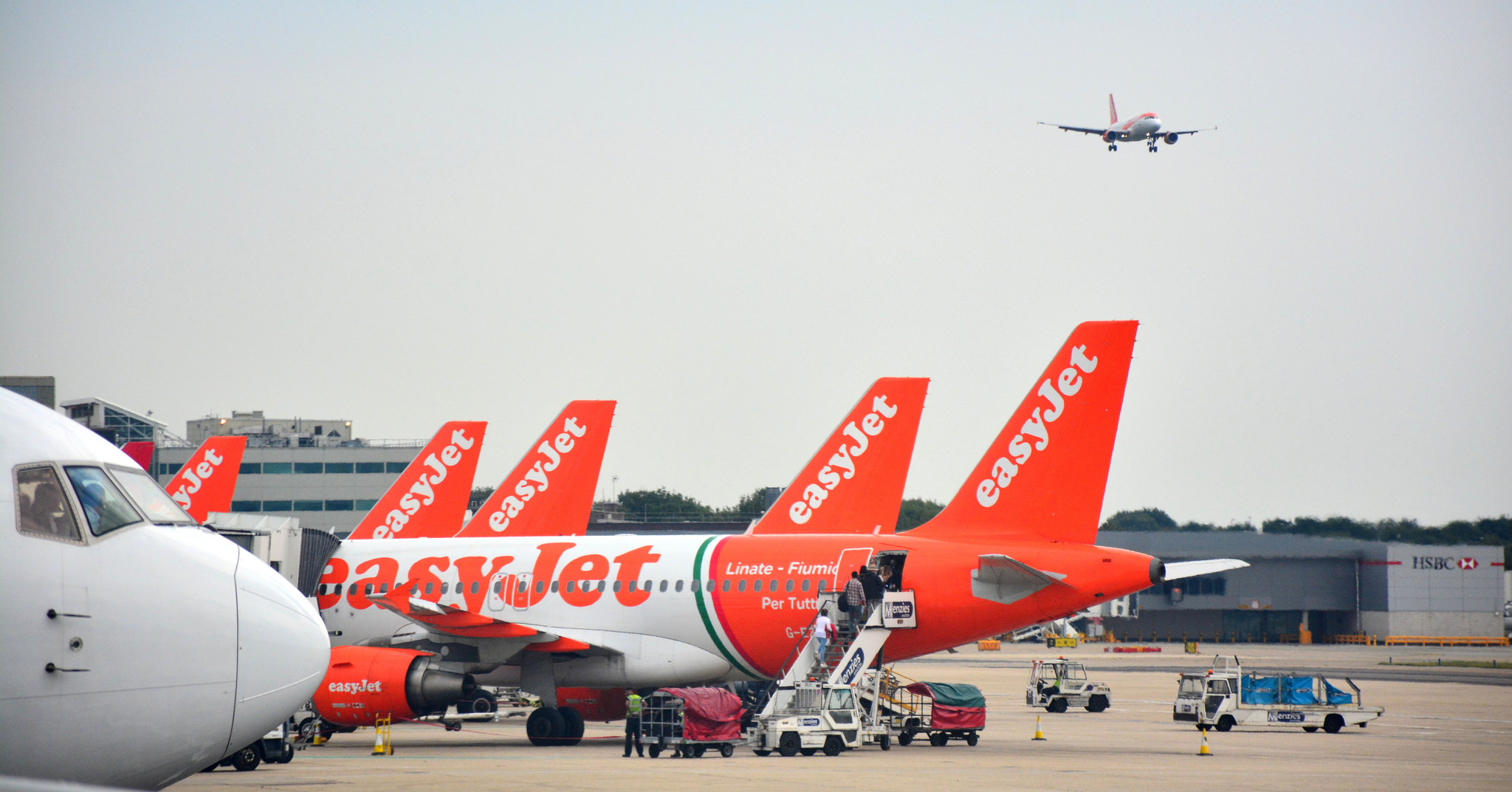 39159523704_3e285a7554_k