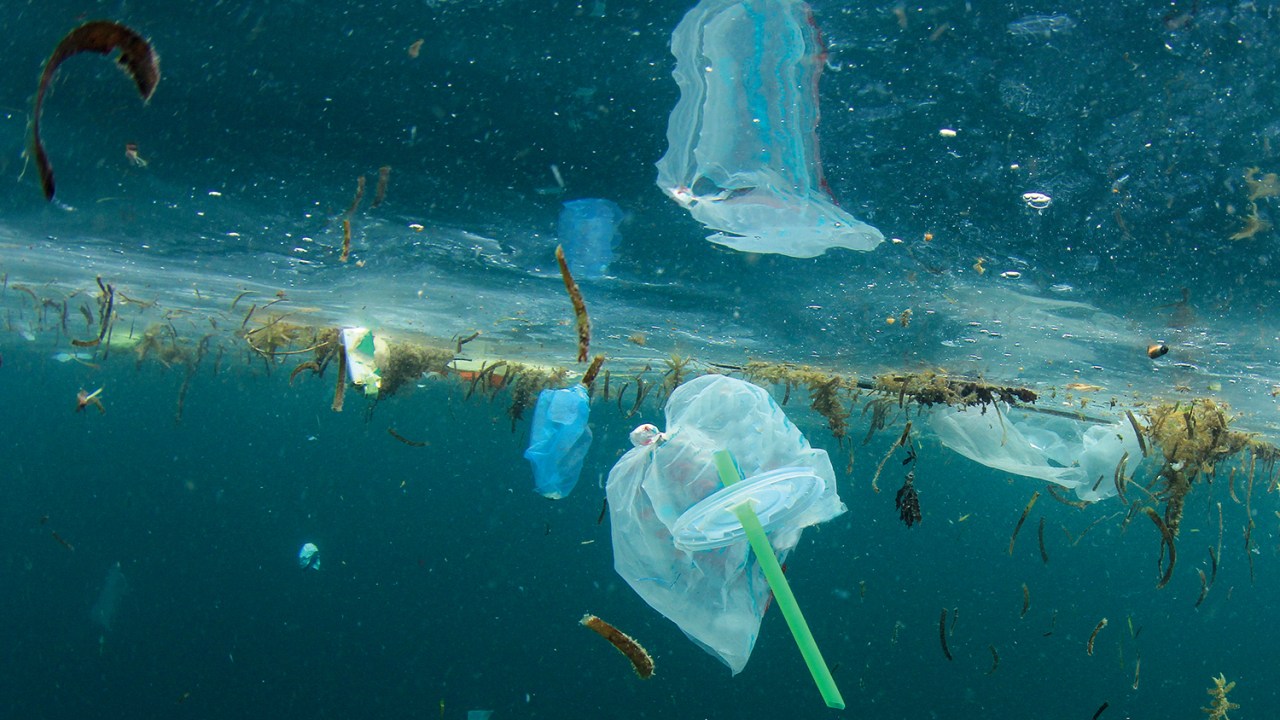 UM MAR DE LIXO - Poluição de plástico no oceano: 150 milhões de toneladas de produtos feitos com o material, alguns achados a 6 000 metros de profundidade