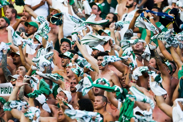 Torcida do Palmeiras faz a festa nas arquibancadas do estádio São Januário