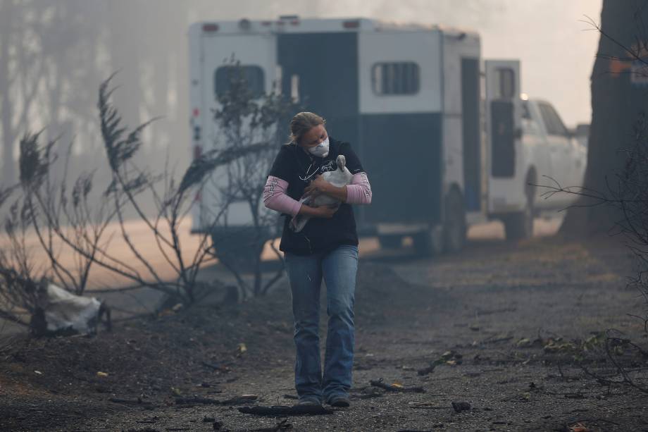 Veterinária carrega um ganso machucado de um local incendiado durante o incêndio Camp Fire em Paradise, na Califórnia - 10/11/2018