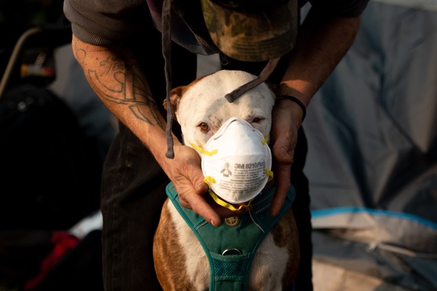 Homem coloca uma máscara respiratória em seu cão em um acampamento de desabrigados no estacionamento de um supermercado em Chico, na Califórnia - 17/11/2018