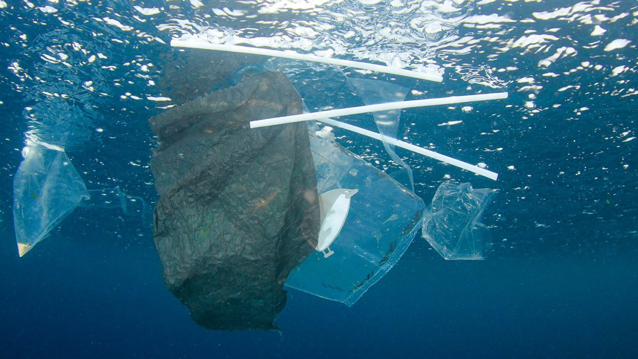 SUJEIRA - Poluição de plástico no oceano: 150 milhões de toneladas