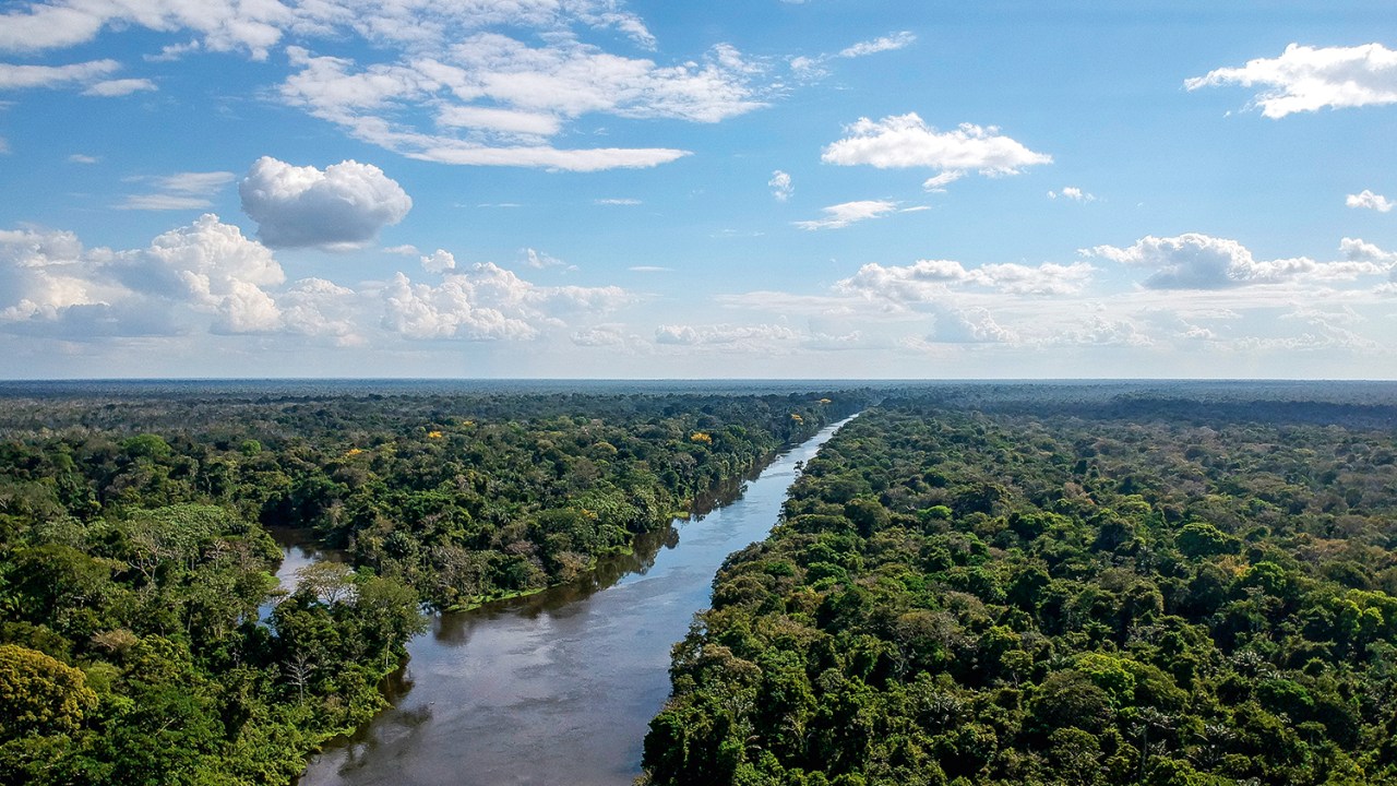 Floresta Amazônica