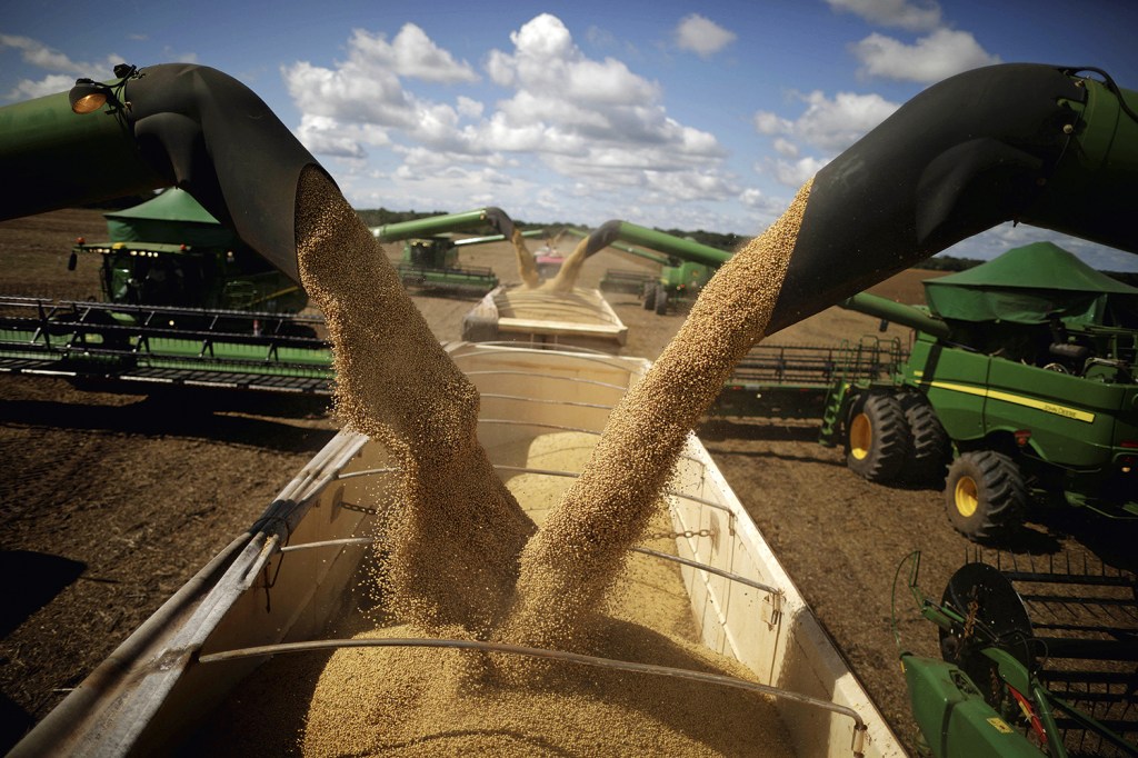 PRODUTIVIDADE - Nos últimos trinta anos, a área plantada com grãos aumentou 65% e a produção cresceu 307%