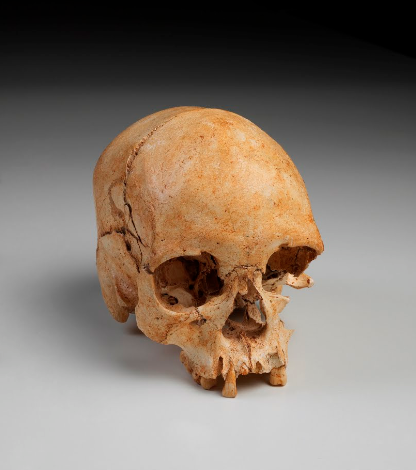 Crânio de Luzia, de 11,5 mil anos de idade, encontrado em área a menos de mil metros do terreno onde seria instalada a fábrica da Heineken