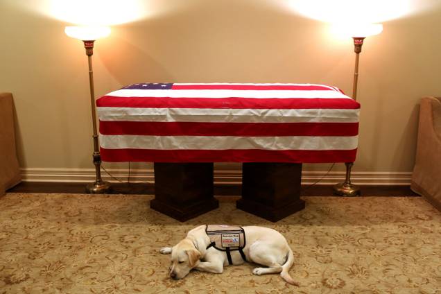 Sully, labrador que ajudava George H.W.Bush em suas atividades, é visto próximo de caixão com o corpo do ex-presidente americano, em Houston, Texas - 03/12/2018