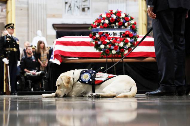 Sully, o labrador que ajudava George H.W.Bush em suas atividades, é visto próximo do caixão do ex-presidente, durante funeral realizado na rotunda do Capitólio americano, em Washington - 04/12/2018
