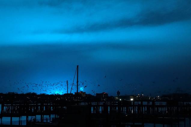 Luz azul ilumina o céu durante a noite após a explosão de um transformador no bairro do Queens em Nova York - 27/12/2018 Luz azul ilumina o céu durante a noite após a explosão de um transformador no bairro do Queens em Nova York - 27/12/2018