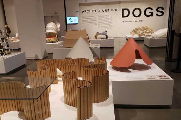 Exposição reúne projetos arquitetônicos conceituais para cães