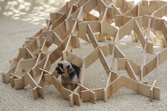 Cãozinho Bartolomeu brinca durante exposição Architecture for Dogs, na Japan House