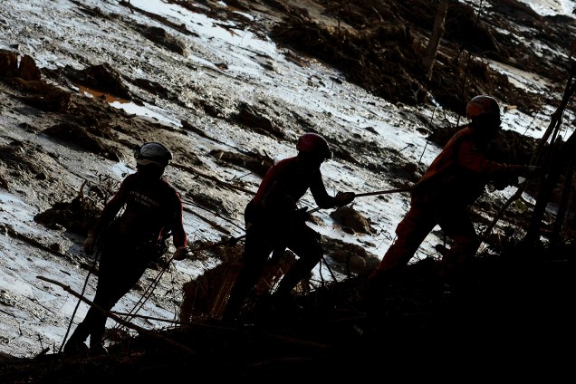 Membros de equipe de resgate procuram vítimas durante o quinto dia de buscas após o rompimento de barragem da mineradora Vale, em Brumadinho (MG) - 29/01/2019