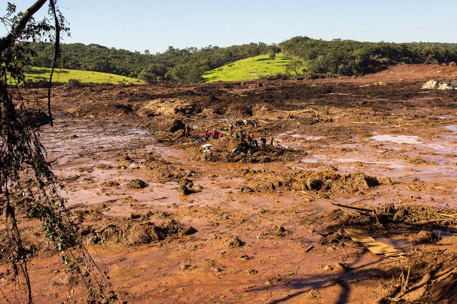 Equipes de resgate trabalham no quinto dia de buscas por vítimas após o rompimento de barragem em Brumadinho (MG) - 29/01/2019