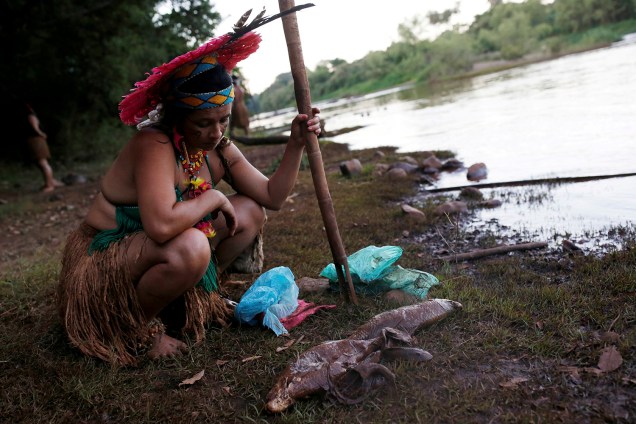 Uma indígena da tribo Pataxo Ha-ha-hae observa peixes mortos perto do rio Paraopeba, depois do rompimento de uma barragem de rejeitos da mineradora brasileira Vale SA, em São Joaquim de Bicas, perto de Brumadinho, Minas Gerais - 28/01/2019