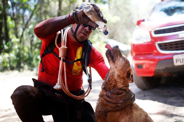 Bombeiro hidrata cão farejador após operação de resgate de vítimas do rompimento de barragem em Brumadinho (MG) - 30/01/2019