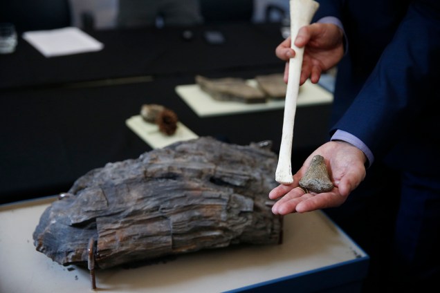 Fóssil de osso de pterossauro encontrado e tronco de pesquisas da Antártica na exposição 'Quando Nem Tudo era Gelo', organizada pelo Museu Nacional e exposta no Centro Cultural Casa da Moeda, no Rio - 16/01/2019