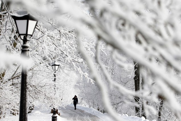 Pessoa é vista caminhando em um parque com as árvores cobertas de neve em Minsk, na Bielorrússia - 11/01/2019