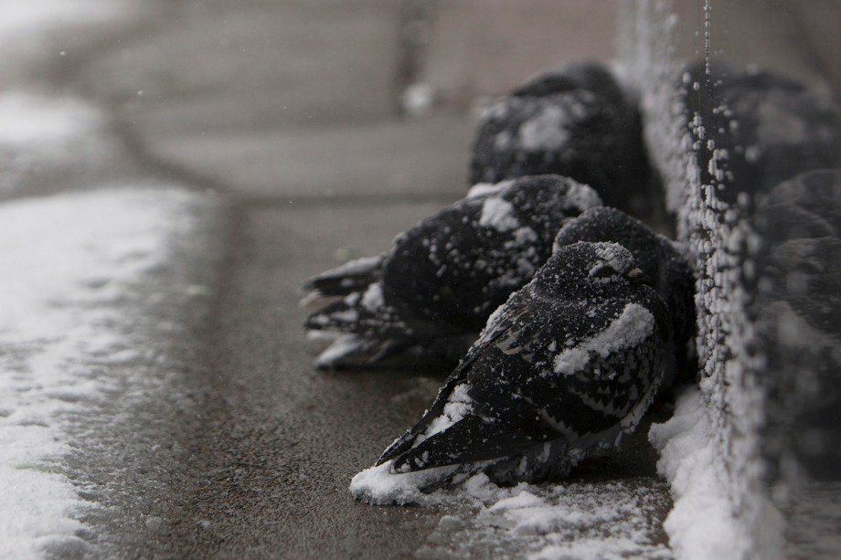 Onda de frio nos EUA pode levar sensação térmica para -53 graus