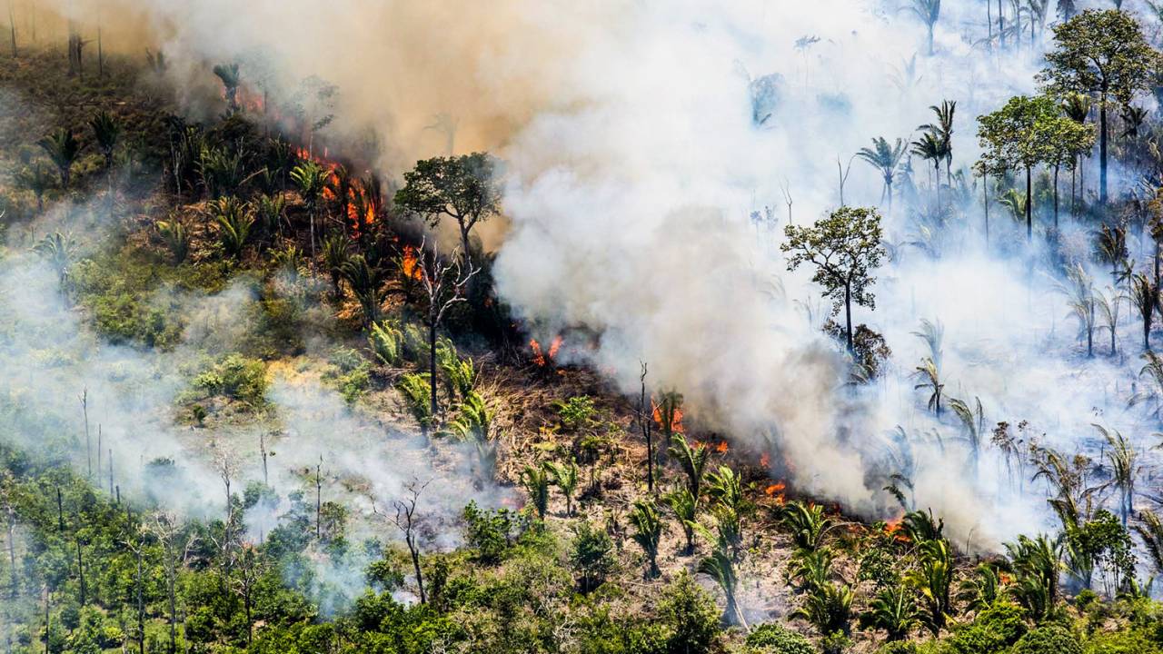 RISCO - Fogo na região em 2018: se nada for feito, as secas aumentarão