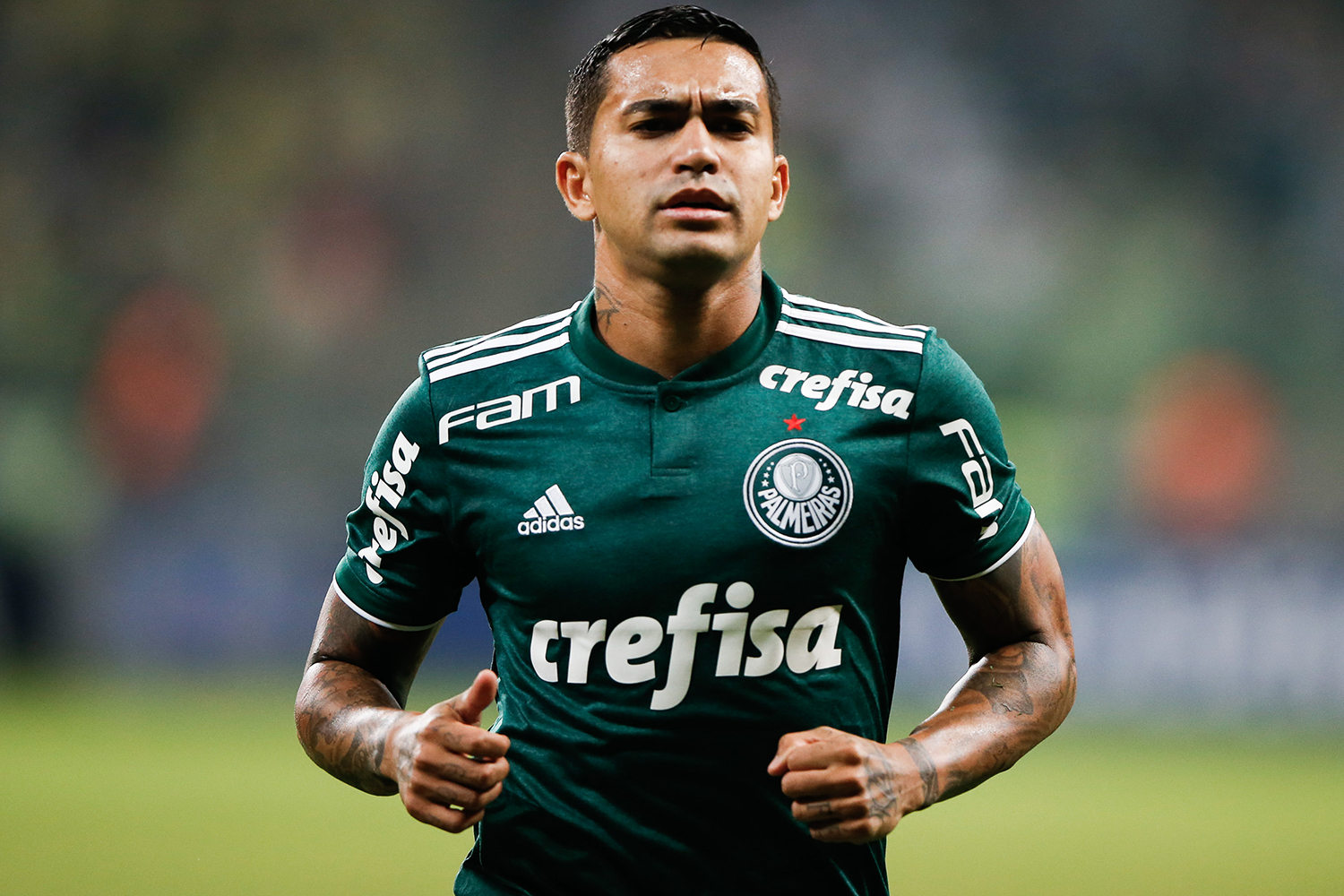 Como Assistir A San Lorenzo X Palmeiras Pela Copa Libertadores Veja