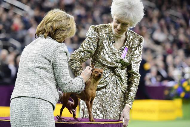A juíza Sharon Newcomb avalia um Pinscher Miniatura durante o Westminster Kennel Club Dog Show, realizado em Nova York - 11/02/2019