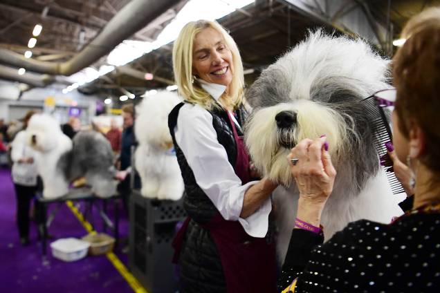 Virginia Goscina, penteia cão da raça Old English Sheepdog durante o Westminster Kennel Club Dog Show, realizado em Nova York - 11/02/2019 Virginia Goscina, penteia cão da raça Old English Sheepdog durante o Westminster Kennel Club Dog Show, realizado em Nova York - 11/02/2019