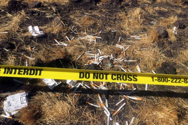 Cigarros são vistos no local da queda do avião da Ethiopian Airlines, perto da cidade de Bishoftu, sudeste de Addis Adeba, Etiópia - 10/03/2019