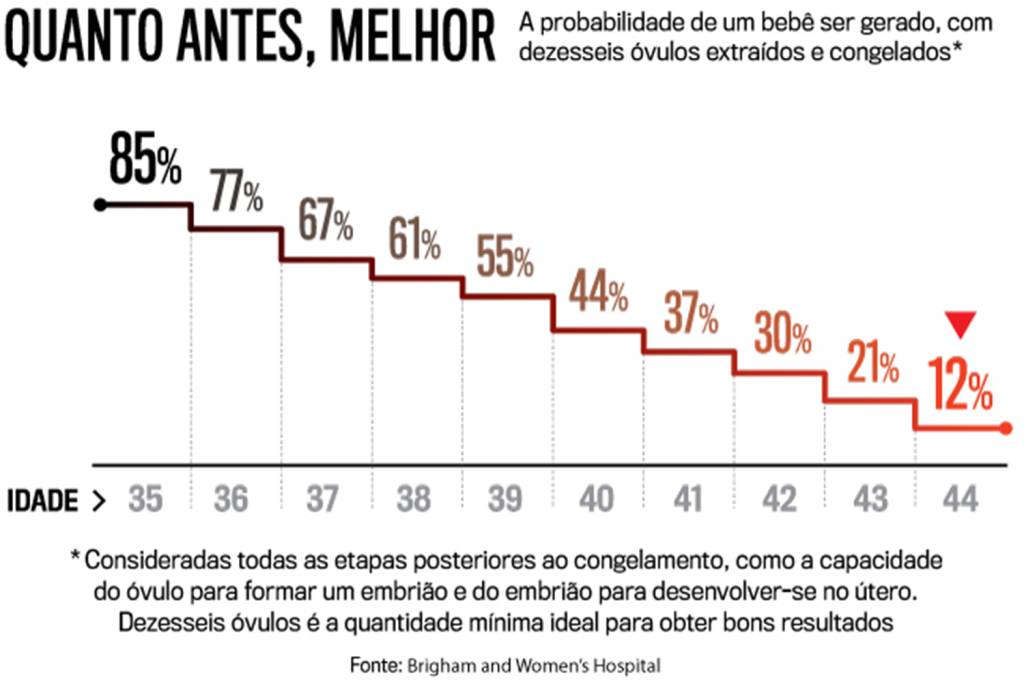 arte-fecundação arte-fecundação