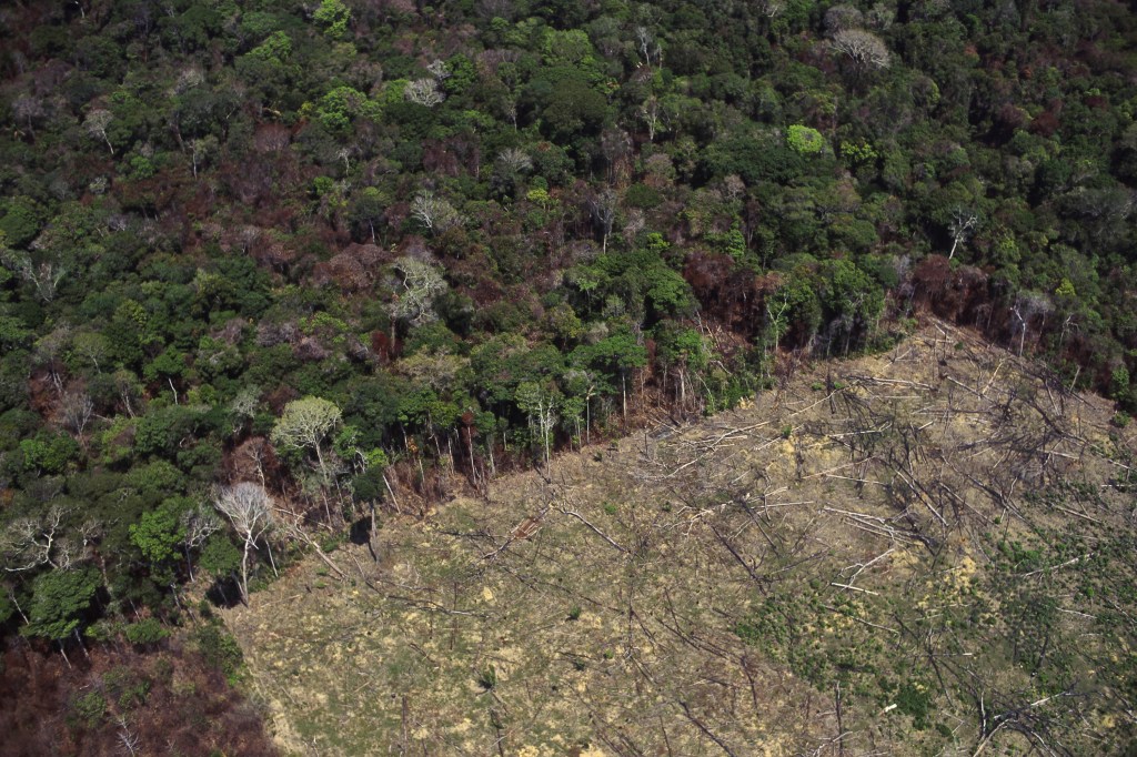 Desmatamento da floresta amazônica para a agricultura