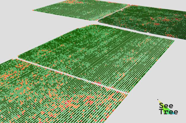 Trees Tech Trees Tech