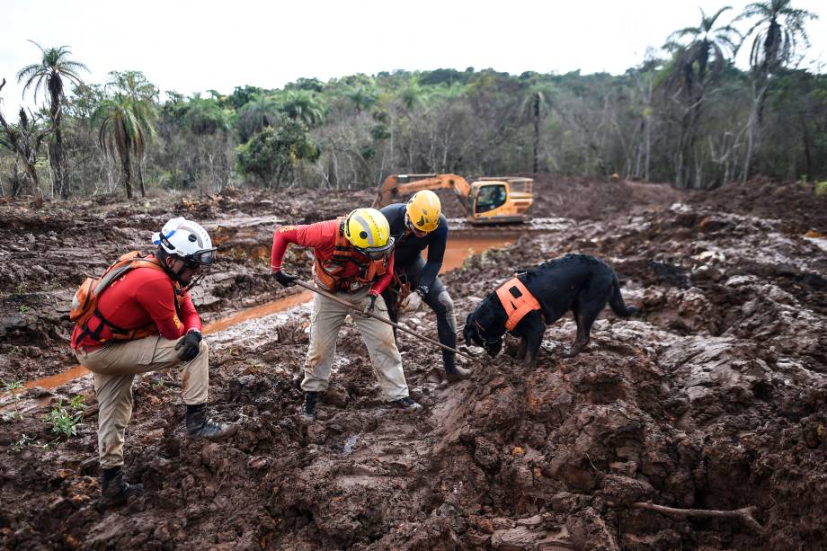 Cão farejador e equipe de resgate procuram possíveis vitimas em meio à lama, 100 dias após o rompimento da barragem da mineradora Vale, localizada na mina Córrego do Feijão, em Brumadinho (MG) - 03/05/2019