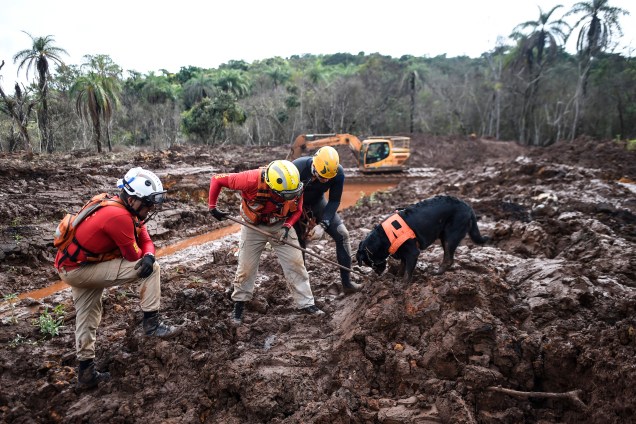 Cão farejador e equipe de resgate procuram possíveis vitimas em meio à lama, 100 dias após o rompimento da barragem da mineradora Vale, localizada na mina Córrego do Feijão, em Brumadinho (MG) - 03/05/2019