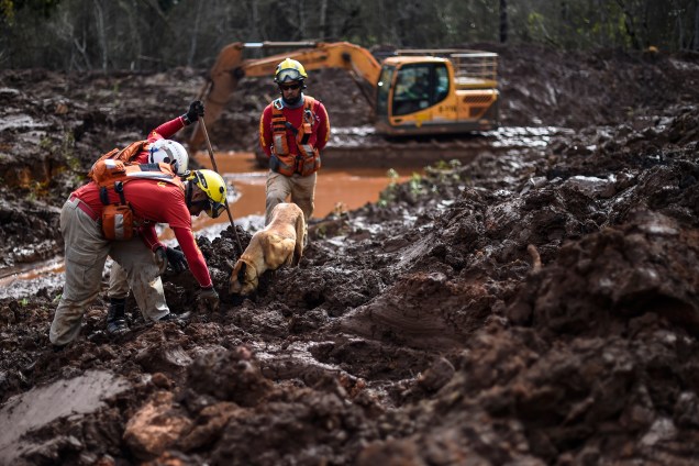 Cão farejador e equipe de resgate procuram possíveis vitimas em meio à lama, 100 dias após o rompimento da barragem da mineradora Vale, localizada na mina Córrego do Feijão, em Brumadinho (MG) - 03/05/2019