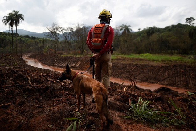 Cão farejador procura possíveis vitimas em meio à lama, 100 dias após o rompimento da barragem da mineradora Vale, localizada na mina Córrego do Feijão, em Brumadinho (MG) - 03/05/2019