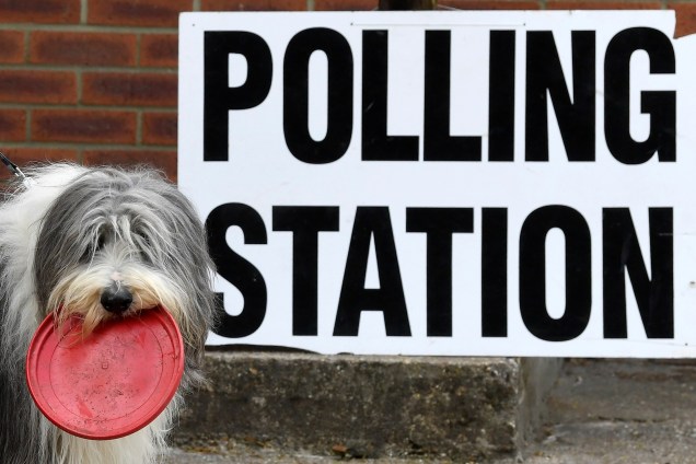Cão é fotografado do lado de fora de uma estação de voto, onde a primeira-ministra britânica Theresa May votou nas eleições do Parlamento Europeu, em Sonning, Inglaterra