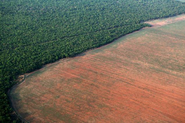 Área da floresta amazônica delimitada por terras desmatadas preparadas para o plantio de soja, no Mato Grosso