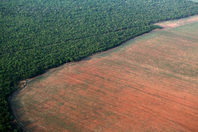 Área da floresta amazônica delimitada por terras desmatadas preparadas para o plantio de soja, no Mato Grosso Área da floresta amazônica delimitada por terras desmatadas preparadas para o plantio de soja, no Mato Grosso